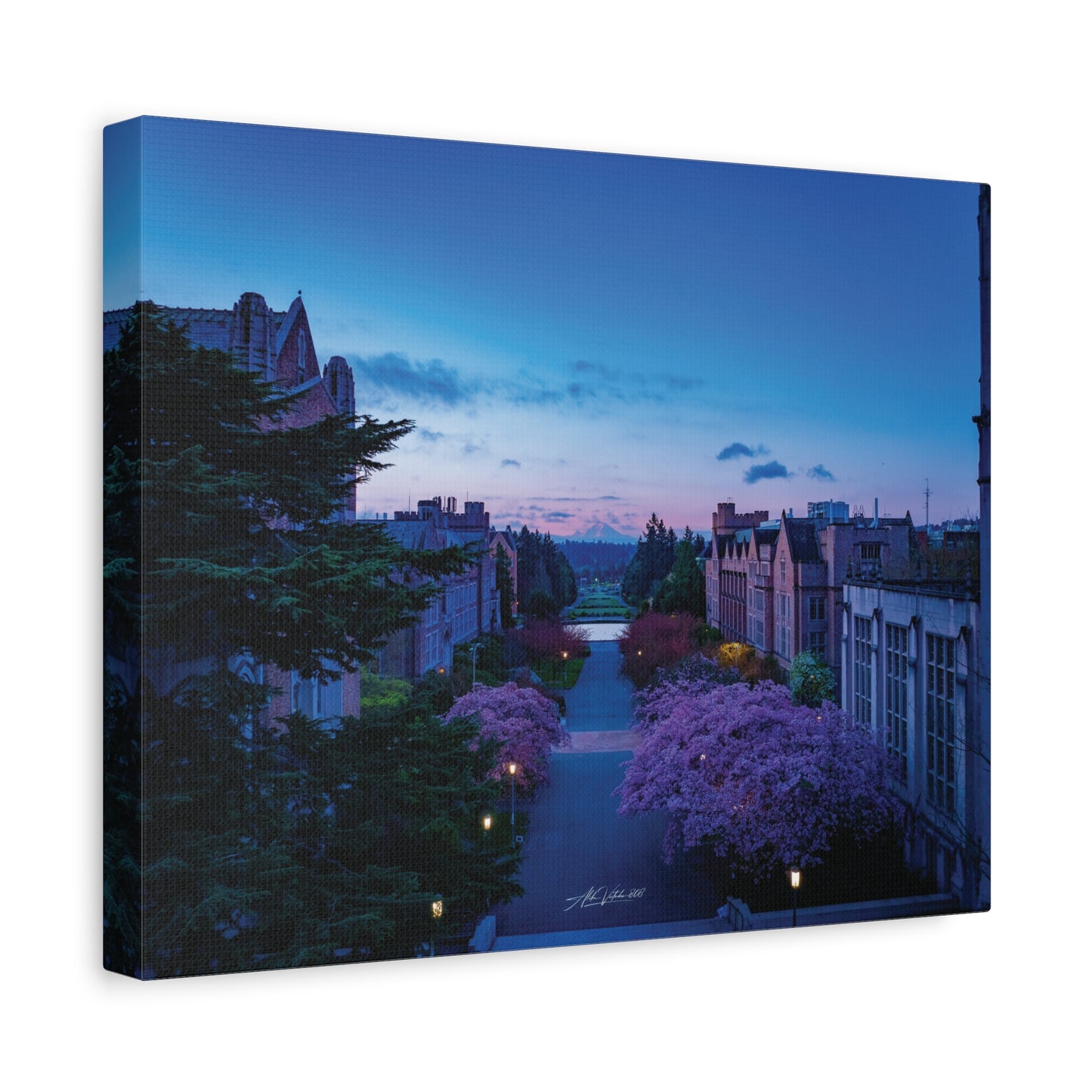 Cherry Blossom Dreams: Seattle's Mt. Rainier Canvas Wall Art
