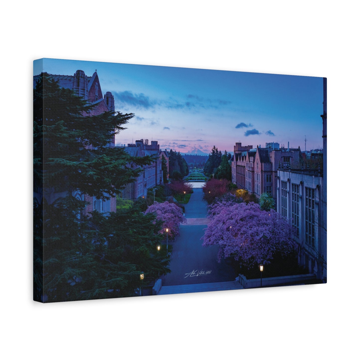 Cherry Blossom Dreams: Seattle's Mt. Rainier Canvas Wall Art