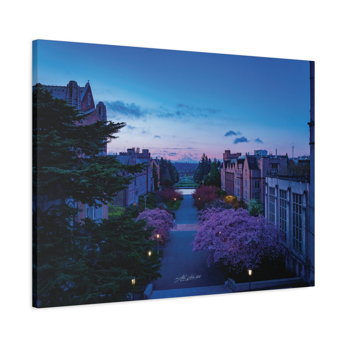 Cherry Blossom Dreams: Seattle's Mt. Rainier Canvas Wall Art