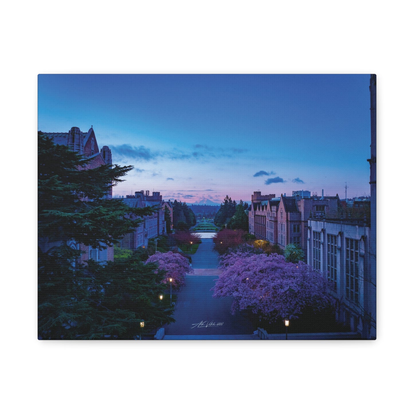 Cherry Blossom Dreams: Seattle's Mt. Rainier Canvas Wall Art