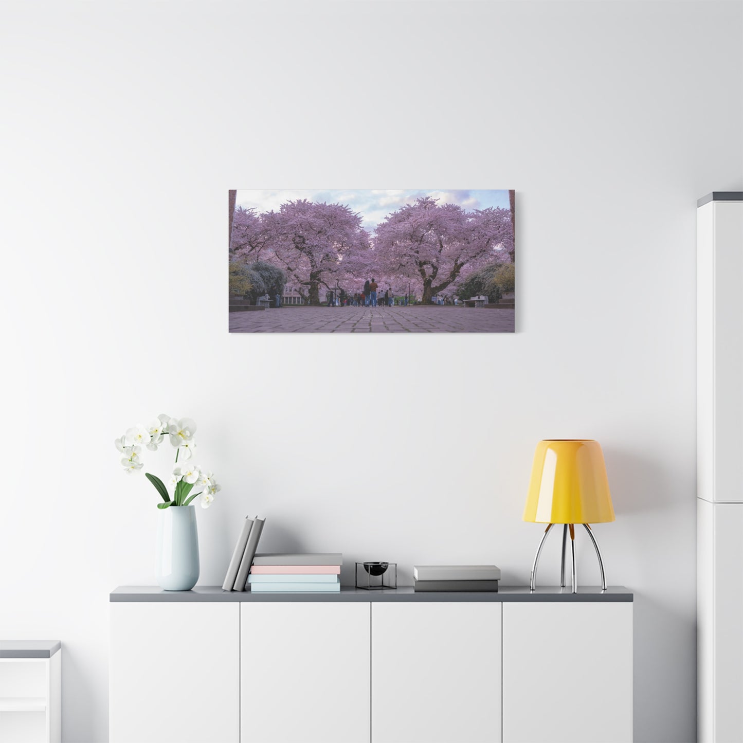 University of Washington's Cherry Blossoms