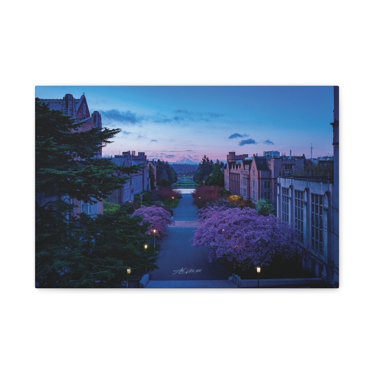 Cherry Blossom Dreams: Seattle's Mt. Rainier Canvas Wall Art