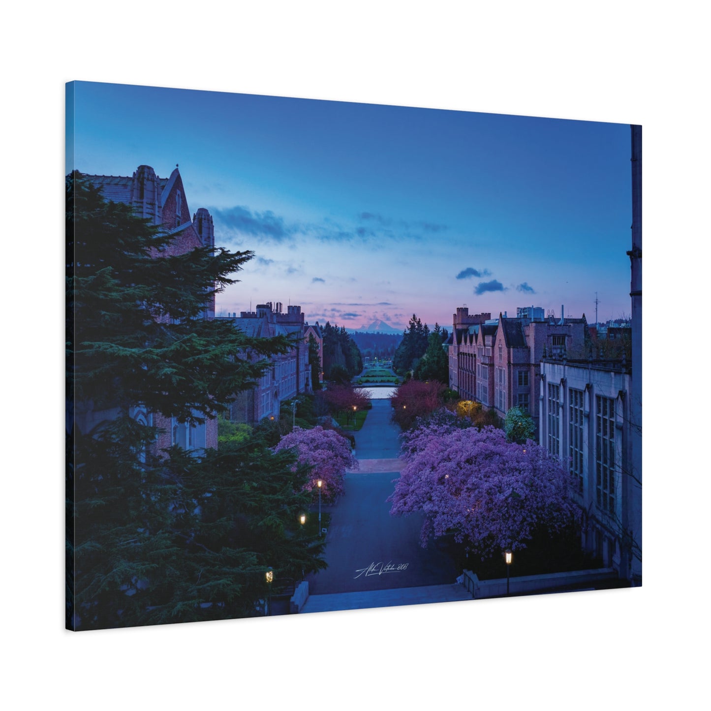 Cherry Blossom Dreams: Seattle's Mt. Rainier Canvas Wall Art