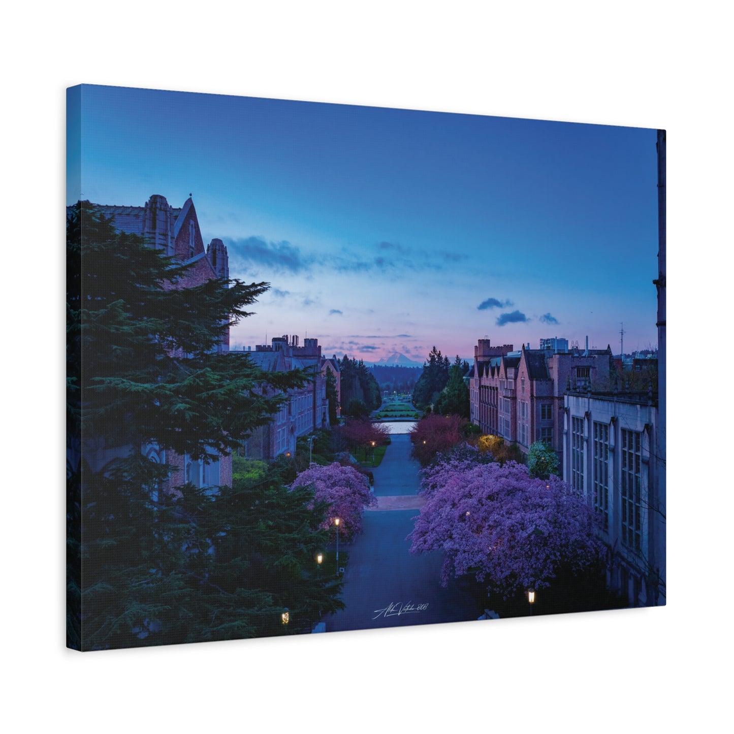Cherry Blossom Dreams: Seattle's Mt. Rainier Canvas Wall Art