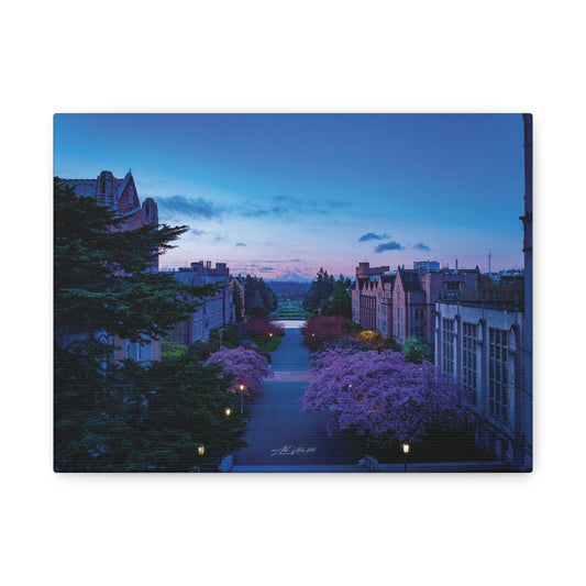 Cherry Blossom Dreams: Seattle's Mt. Rainier Canvas Wall Art